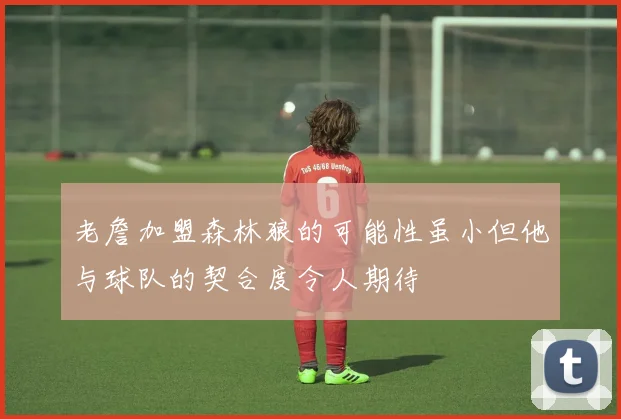 老詹加盟森林狼的可能性虽小但他与球队的契合度令人期待