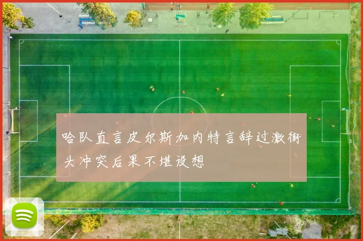 哈队直言皮尔斯加内特言辞过激街头冲突后果不堪设想